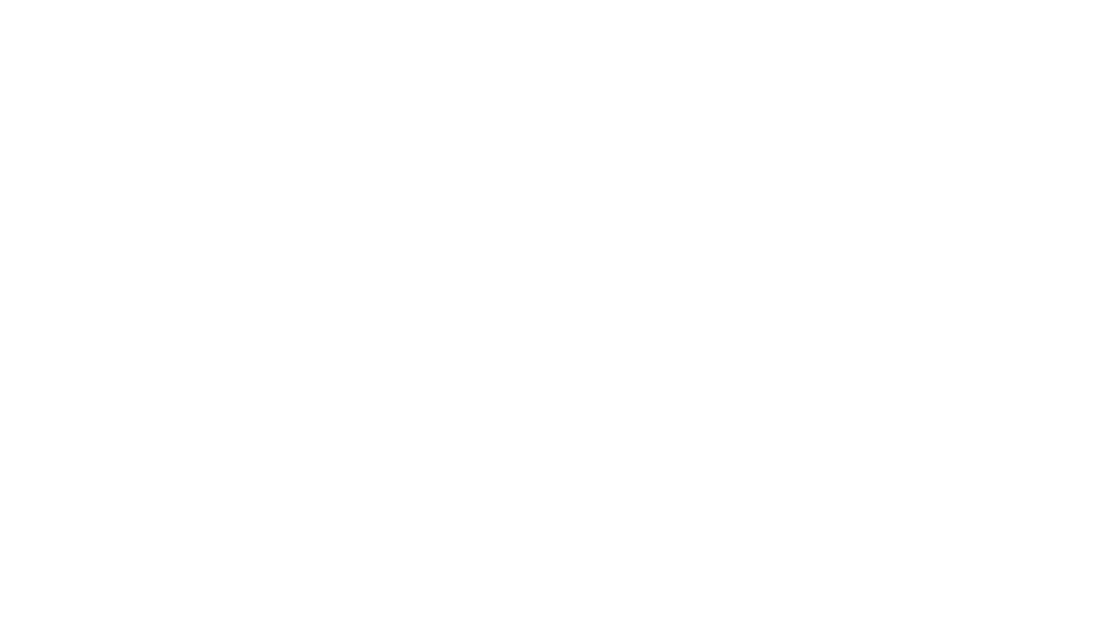 stn-logo-neg